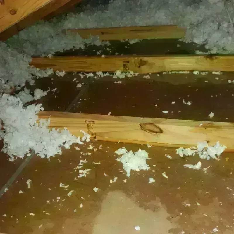 Attic Water Damage in Hazelwood, NC