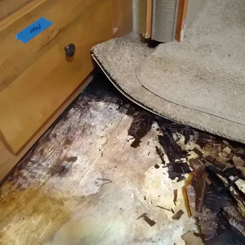 Best Wood Floor Water Damage Service in Hazelwood, NC